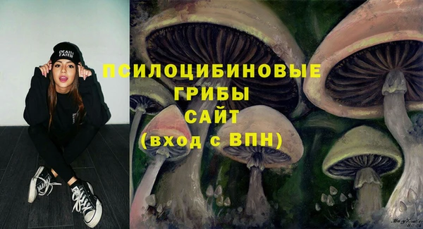 метадон Алексин