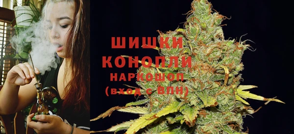 ПСИЛОЦИБИНОВЫЕ ГРИБЫ Алексеевка